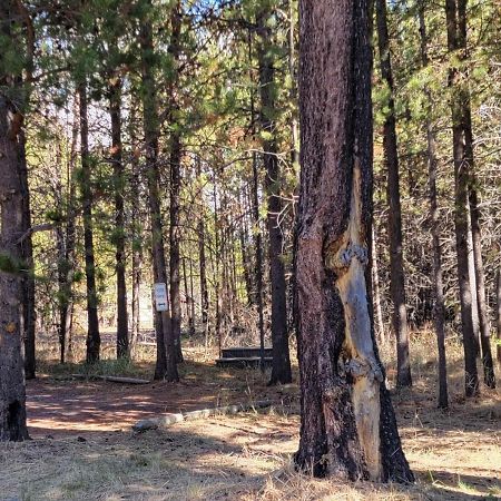 Diamondstone Guest Lodges La Pine Luaran gambar