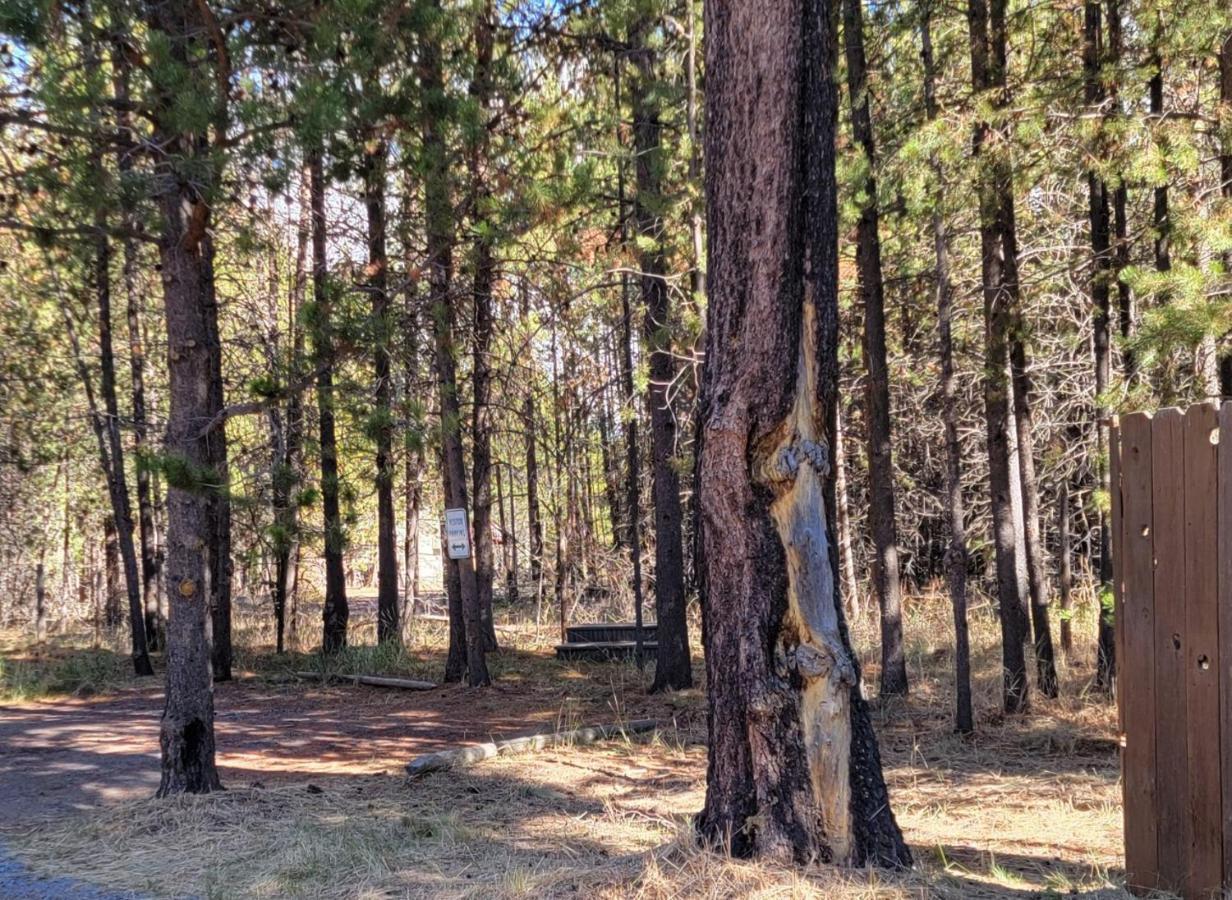 Diamondstone Guest Lodges La Pine Luaran gambar